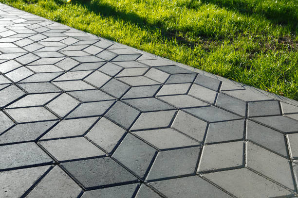 Best Driveway Paver Repair  in Gravette, AR